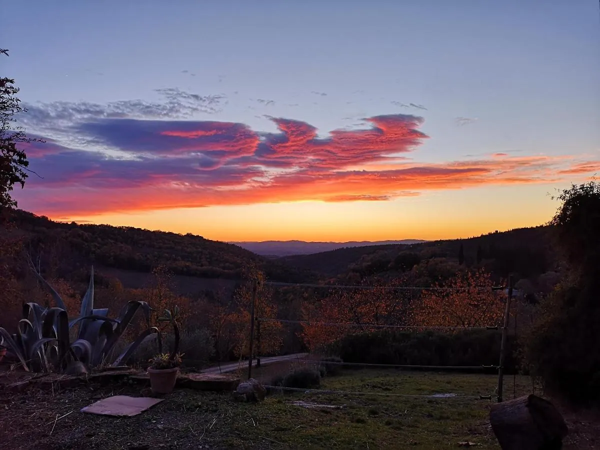 Agriturismo Capanna Delle Cozzole Castellina in Chianti Country house