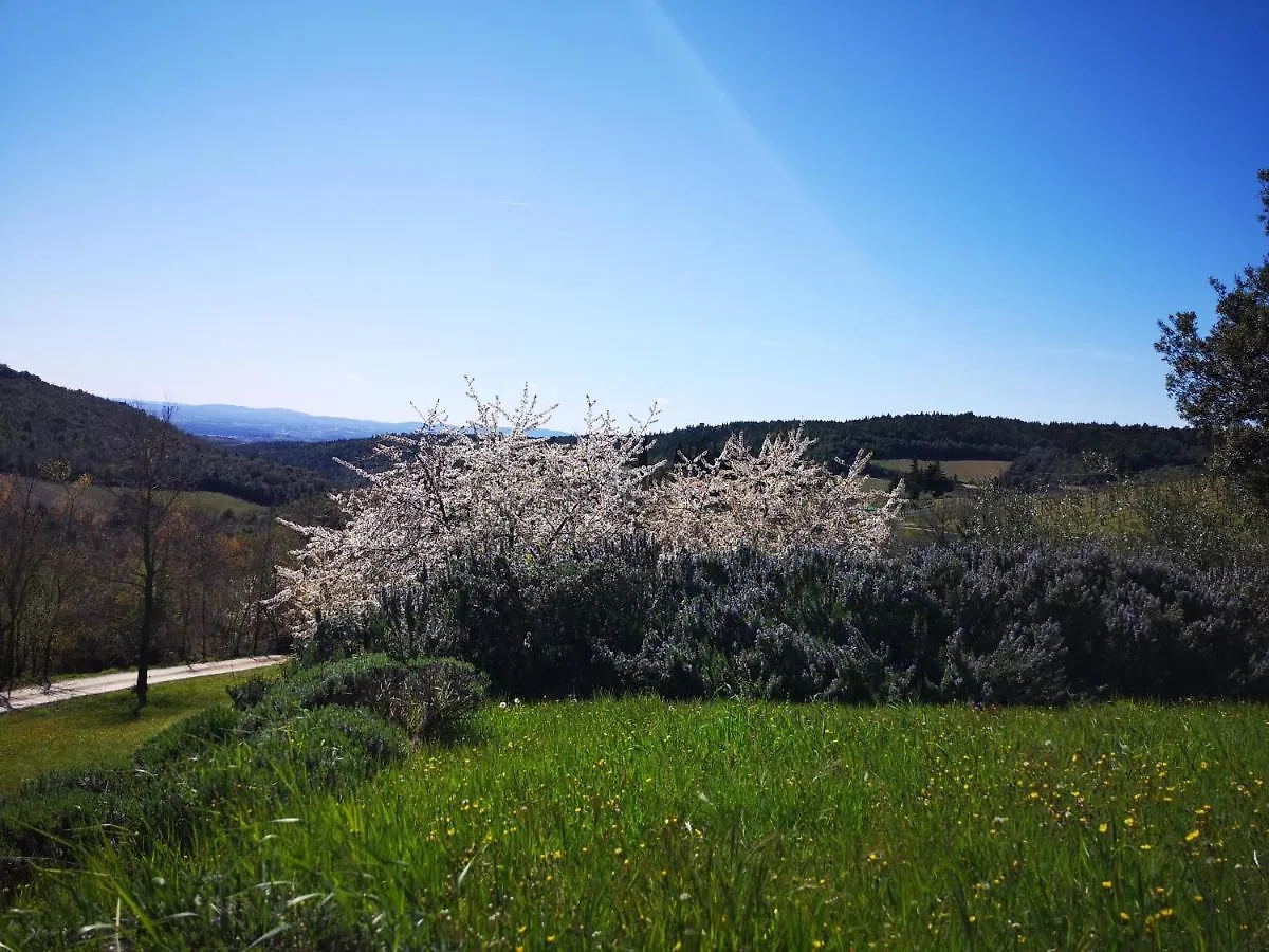 Agriturismo Capanna Delle Cozzole Castellina in Chianti Country house